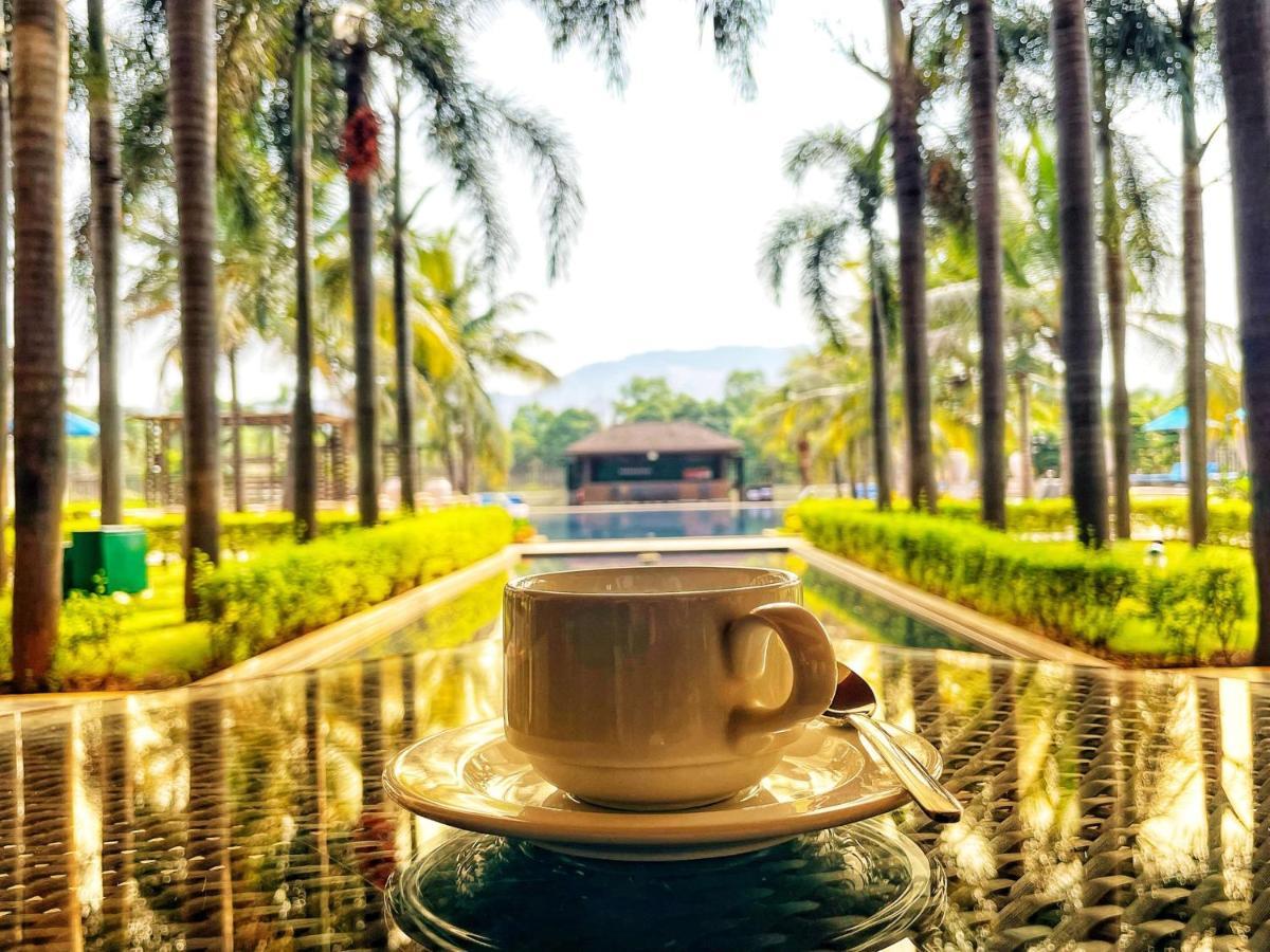 Radisson Blu Plaza Resort & Convention Centre คาร์จัต ภายนอก รูปภาพ A cup of coffee